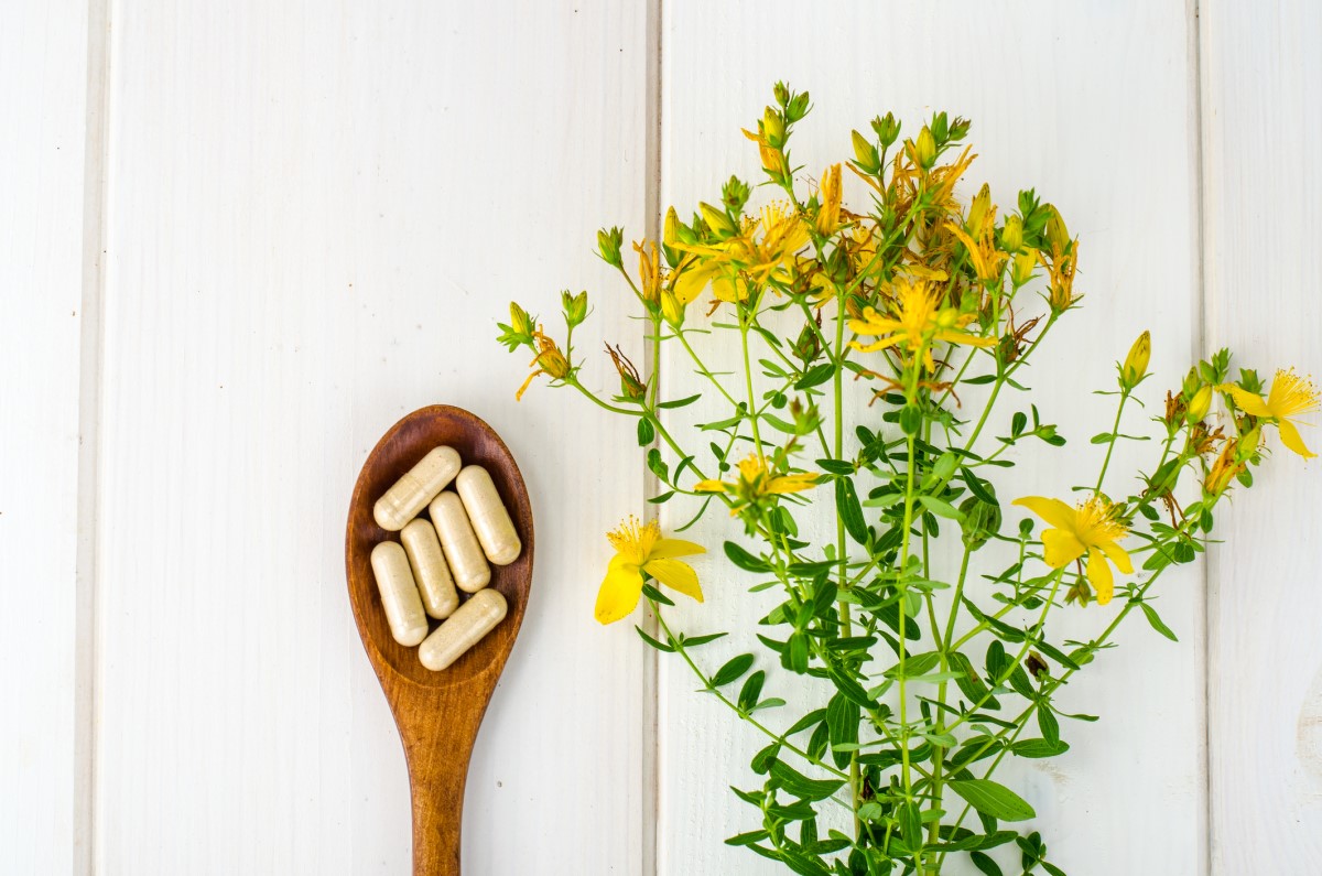 Fitofármacos (medicamentos a base de plantas) 